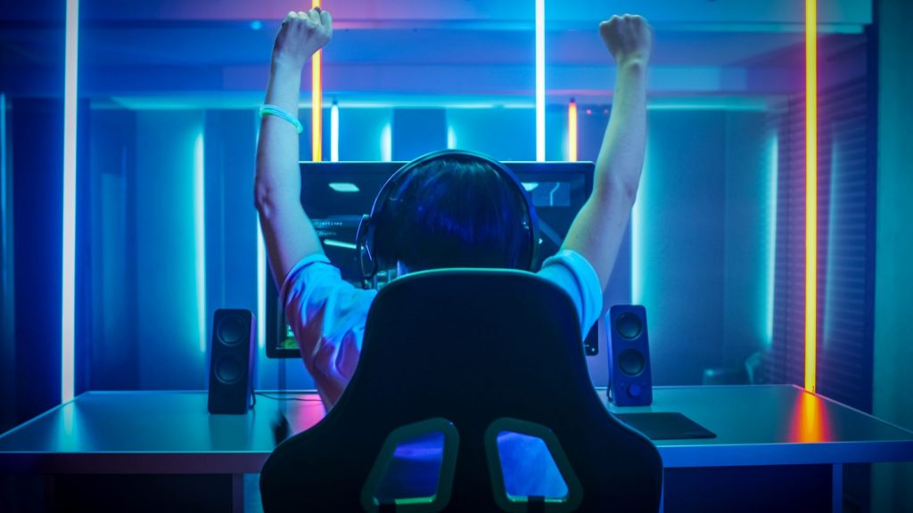 Online Gamers are now Setting their Goals to Emerge as a Successful Brand in the Digital World 